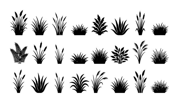 Black grass silhouette collection, 24 botanical plant vector icons, wild meadow weeds and swamp cattail elements for landscape design