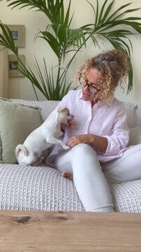 A joyful woman with curly hair and glasses sits comfortably on a couch, gently petting and playing with her adorable small white chihuahua. This heartwarming scene captures the special bond between ow