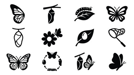 Fototapeta premium A comprehensive collection of black vector icons illustrating the butterfly life cycle: egg, larva, pupa, adult, plus related elements. Ideal for educational and graphic design projects.