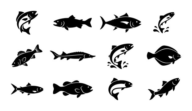 Black fish silhouettes collection, 12 aquatic animal vector icons, minimalist sea life and freshwater fish species set for fishing logos and seafood branding