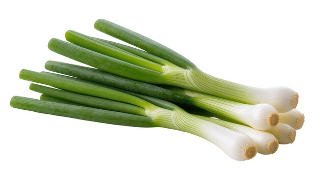 Fresh green bunch of scallions with white roots