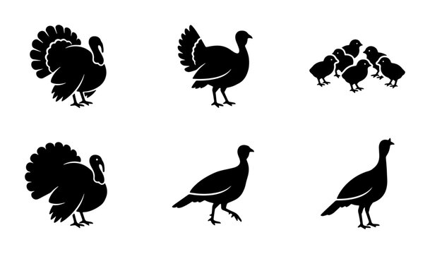 Turkey silhouette vector set, black farm bird icons for Thanksgiving and autumn design, wild turkey and chick collection on white background