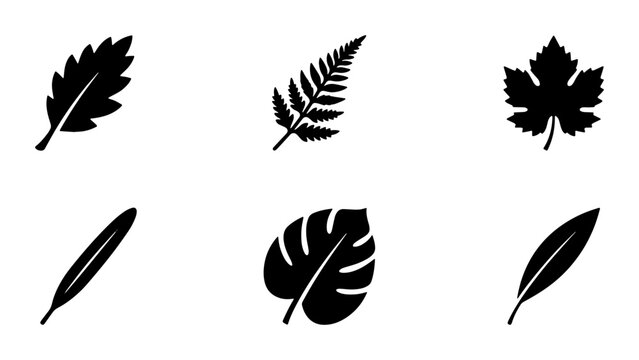 Minimalist black leaf silhouettes set, collection of 6 botanical foliage icons, flat vector plant leaf shapes for organic branding and nature logos