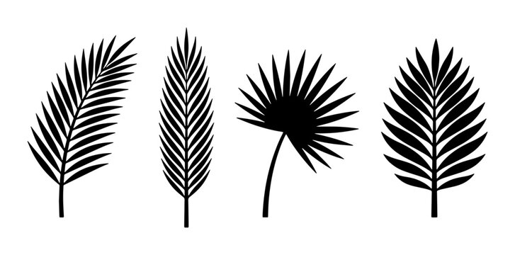 Tropical palm leaf silhouettes set, black botanical frond vector icons, minimalist exotic foliage collection for summer branding and logo design