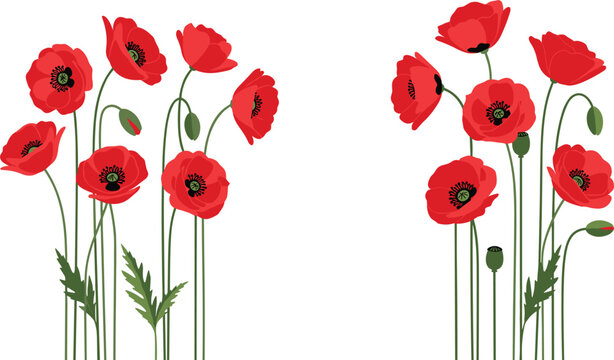 Red poppy flowers bouquet illustration with green stems and leaves in flat vector style isolated on light background for floral, nature and remembrance themes