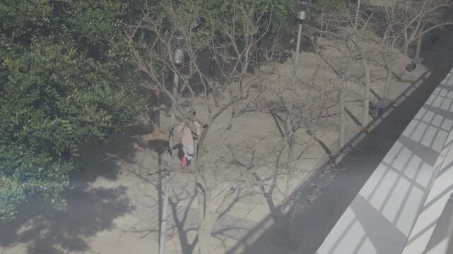 Woman appearing lower-left, walking north with companion passing lamps into shadow for urban design