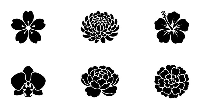 Minimalist black flower icons set, 6 botanical vector silhouettes, floral blossom symbols including cherry blossom, hibiscus, orchid, and peony