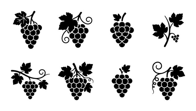 Black grape icons set with leaves and vines, minimalist fruit silhouettes for wine labels, 8 vector grape bunch illustrations for winery branding