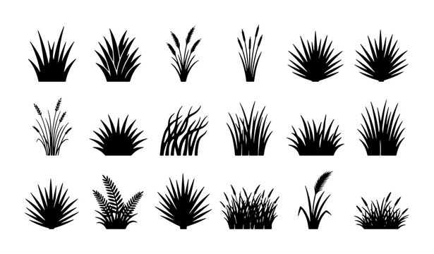 Black grass silhouette collection, 18 botanical meadow plant icons, decorative garden weed and reed vector set for landscape design and nature illustrations