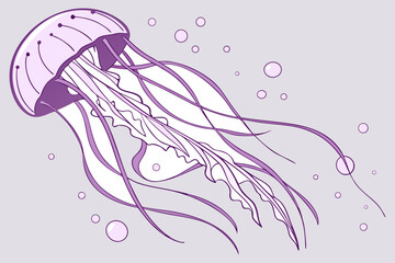 Fototapeta premium Hand Drawn Jellyfish Illustration Marine Life Ocean Creature Line Art Vector Design