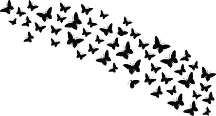 Fototapeta premium Numerous elegant black butterfly forms create a sweeping diagonal path on a pristine white field