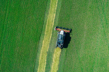 Aerial view captures powerful combine harvester gathers crops on a vast green field under a clear blue sky during a sunny day near © Evgenii Bakhchev