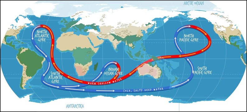 Illustrated world map depicting global ocean circulation with labeled gyres and currents, showing warm surface flows in red and cold deep currents in blue across continents and oceans.