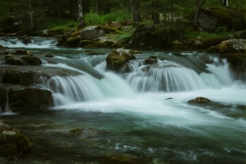 Obraz premium A serene forest stream flows over moss-covered rocks, creating small waterfalls and cascades in a lush natural setting.