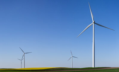 Fototapeta premium Wind Turbines Over Rolling Farmland Under Clear Blue Sky Panorama