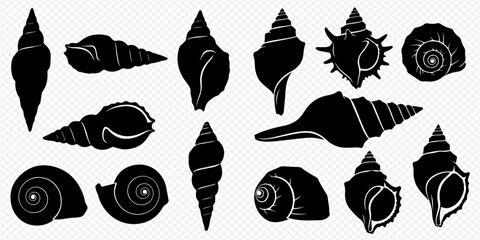 Collection of various black silhouette seashells and snail shells on a transparent background. © Akun