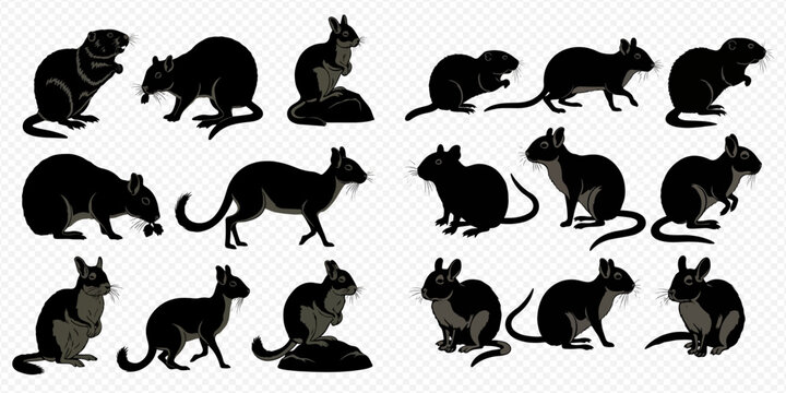Set of various rodent and animal silhouettes in different poses, black and white vector illustration.