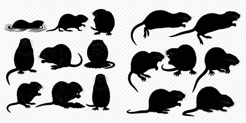 Collection of beaver and muskrat silhouettes in various poses, isolated on a transparent background. © Akun