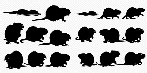 Collection of various beaver silhouettes in different poses, showcasing the animal's natural movements and forms. © Akun