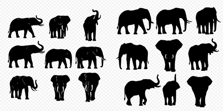 Collection of various elephant silhouettes in different poses, showcasing the majestic animal's form and movement.