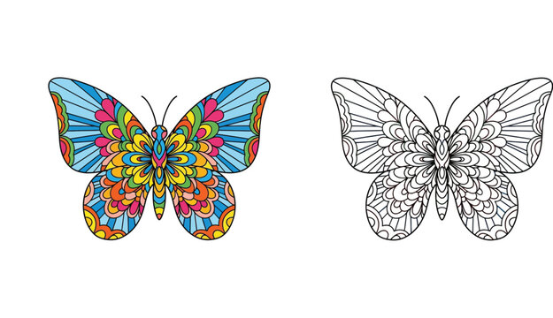 Intricate Mandala Butterfly Vector Illustration, Colorful Design and Black and White Line Art for Adult Coloring Books