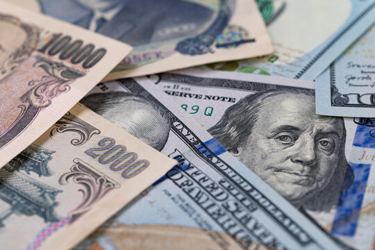 Filming spring cherry blossom macro with a smartphone close up