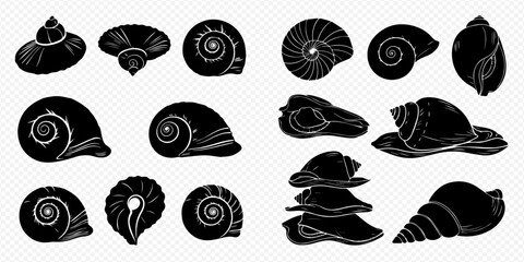 Set of black silhouettes of various seashells and snail shells on a transparent background, vector illustration. © Akun