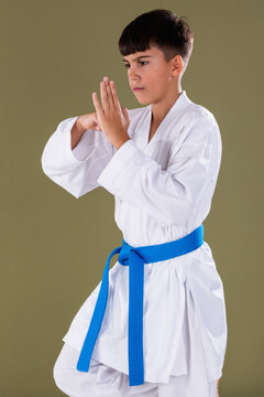 Young karate student performs a crane style stance with hands in guard position, demonstrating balance, focus, and control during training.