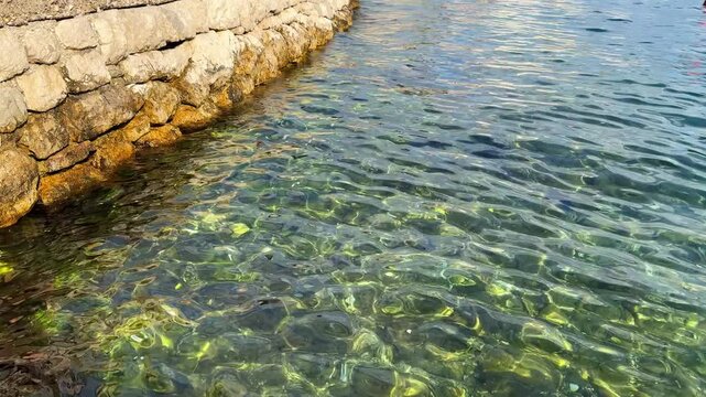 Clear coastal water along a rocky shoreline
