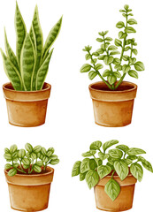 Fototapeta premium Watercolor Potted Houseplants Set – Indoor Green Plants Illustration Collection