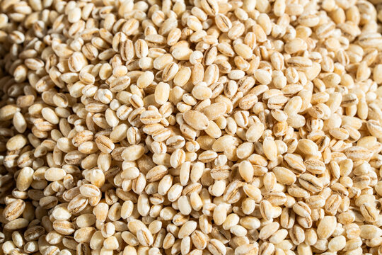 Close up of uncooked barley