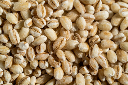 Close up of uncooked barley