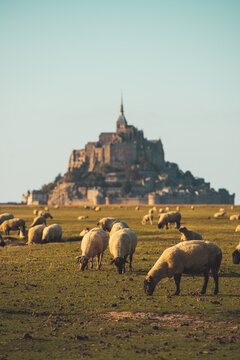 View of Mont Saint Michel in northern France