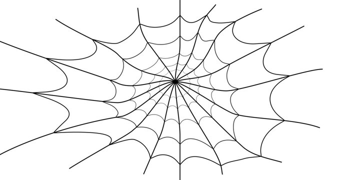 Vector outline illustration of a simple fancy Halloween spider web, isolated object on the white background, clipart useful for halloween party decoration, hand drawn image, cartoon spooky character