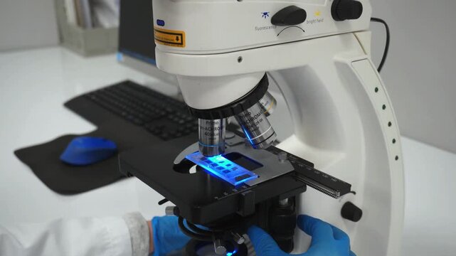 Laboratory technician precisely focuses on cellular imaging process