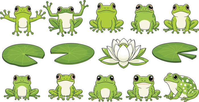 Cute Frog Cartoon Set Featuring Green Frogs in Different Poses with Lily Pads and Water Lily for Nature Illustration Design.