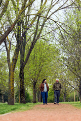 Fototapeta premium Two Men Walking and Talking in a Tree-Lined Park Path During Spring Leisure Stroll