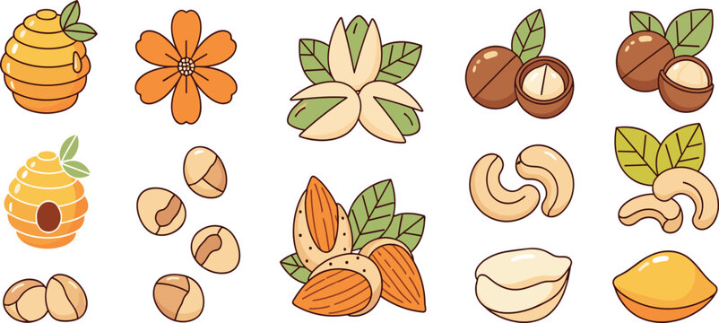 Set of Nuts, Honey, and Floral Elements with Almonds, Cashews, and Natural Food Ingredients Illustration
