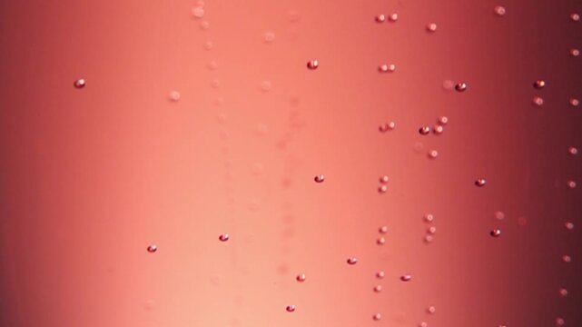 Close-up of pink rose sparkling wine bubbles in champagne glass Concept of festive celebration in super slow motion
