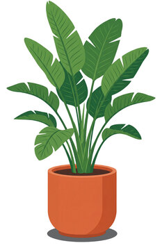 Potted strelitzia houseplant illustration on transparent background