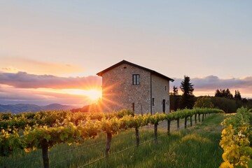 Naklejka premium Sun Sets Behind Stone House in Vineyard During Evening in Countryside