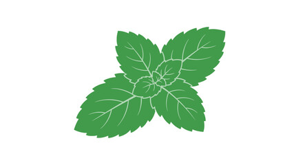 Fresh Green Mint Leaves Illustration. © Andimanaba