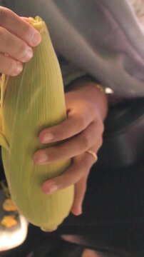 Young Woman Removing Husk from Ripe Corn Cob, Agriculture Concept