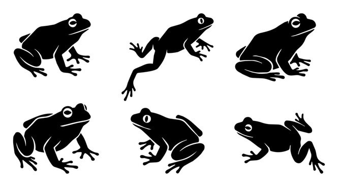 Frog silhouettes arranged in a repeating pattern on a white background. High contrast black shapes create a bold graphic look.
