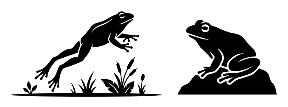 Frog leaping above marsh plants at a pond edge. Another frog crouches on a rock in a calm midday pose.