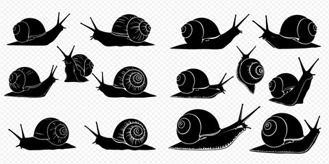 Set of various snail silhouettes with shells and tentacles in different poses, isolated on a transparent background. © Akun