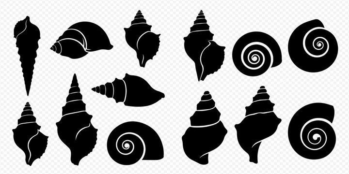 Collection of various black silhouette seashells and conch shells on a transparent background.