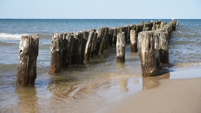 Weathered wooden breakwater posts extending into calm blue sea on sandy beach under clear sky