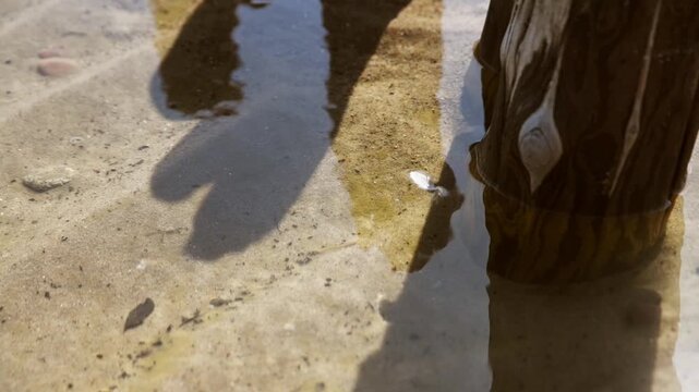 Shadow reflection of person and wooden post on shallow sandy water surface with warm sunlight