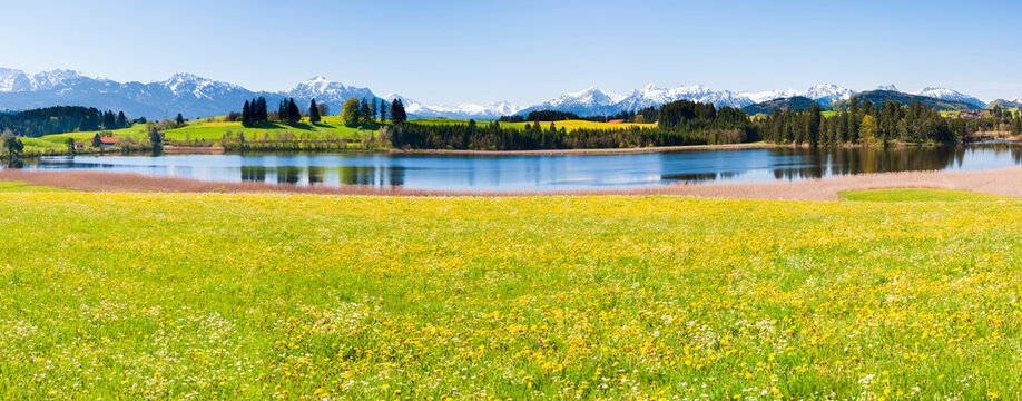 Panorama Landschaft mit Fr&uuml;hlingswiesen im Allg&auml;u mit Blick &uuml;ber den Sameisterweiher und die Allg&auml;uer Alpen zum Berg S&auml;uling